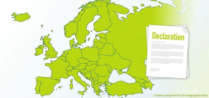 Banner picture with a European map in ESSI colours and with a generic declaration icon.